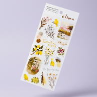 Mind Wave Clima Aesthetic Stickers: Layered Tracing Paper & PET Decals - Made in Japan